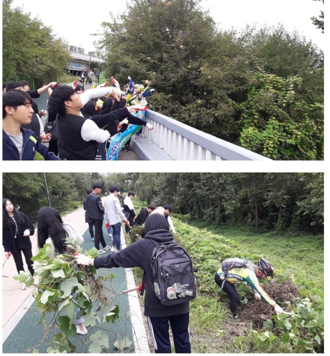 성내천살리기2.jpg