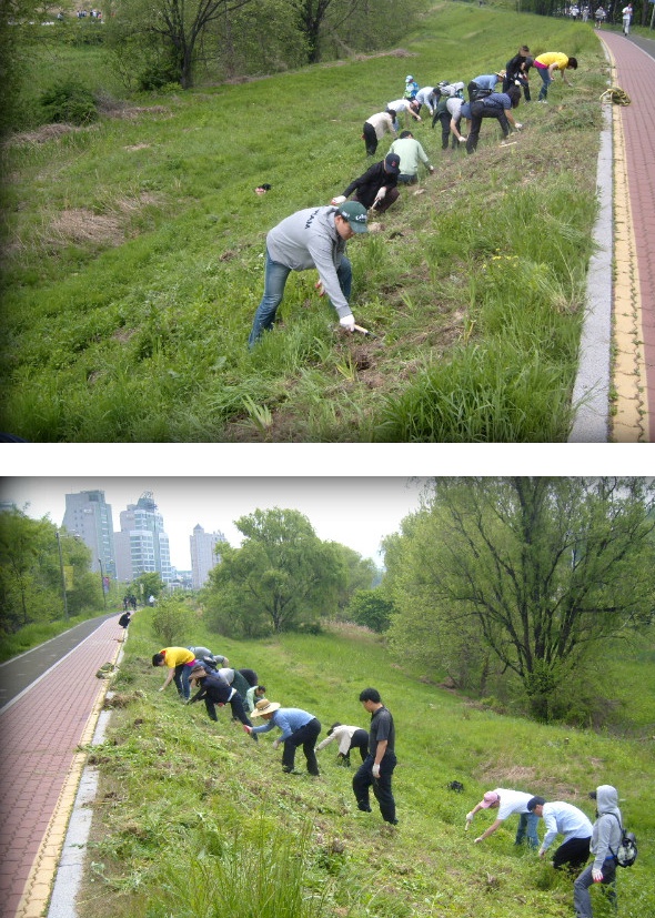 성내천살리기25.jpg
