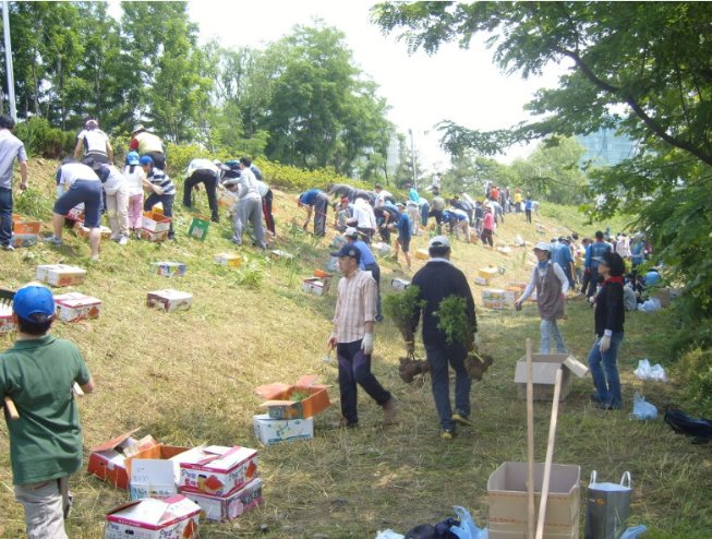 성내천살리기30.jpg