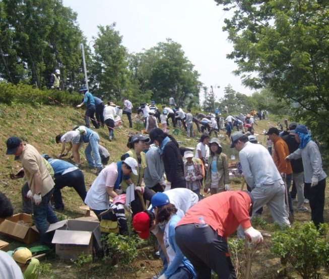 성내천살리기31.jpg